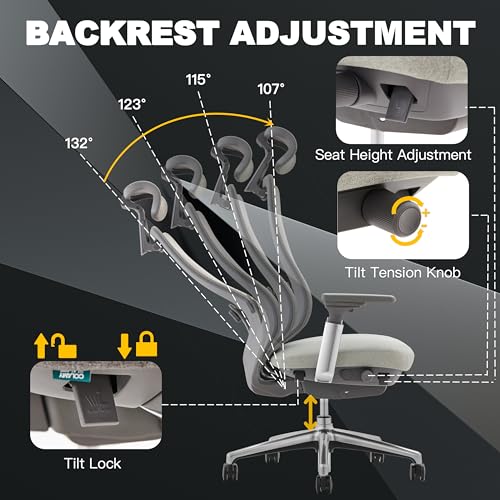 COLAMY Ergonomic Mesh Office Chair, High Back Executive Desk Chair with Adjustable Headrest, 4D Arm, Slide Seat, Tilt Lock, Lumbar Support, Light Grey