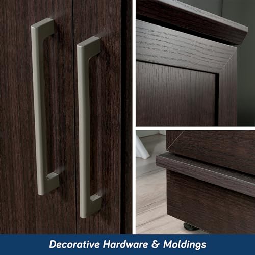 Sauder HomePlus Storage Cabinet/ Pantry cabinets, Dakota Oak finish - color: Dakota Oak