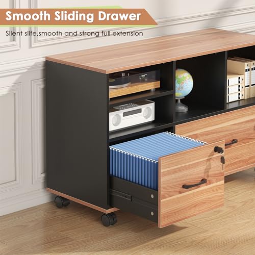 2 Drawer File Cabinet for Home Office, Lockable Rolling Filing Cabinet with Adjustable Shelves, Wood Lateral File Cabinet with Lock, Printer Stand Office Storage Cabinet, Rustic Brown & Black - color: Walnut and Black-2 Drawers