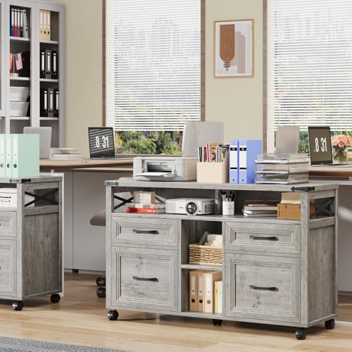 Halitaa Farmhouse Filing Cabinet with Adjustable Shelf & Wheels, Grey - color: Grey, size: 4 Drawers&Wheels