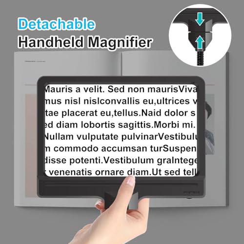 5X Magnifying Glass with Light and Stand, Adjustable Brightness Magnifying Floor Lamp, Gooseneck Arm Lighted Magnifier for Reading, Crafts and Close Work
