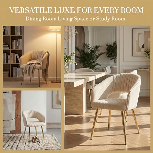 Modern Dining Chairs Set of 2, Upholstered PU Leather Dining Room Chairs with Gold Metal Legs, Accent Kitchen Chairs with Curved Backrest for Living Room, Cream - color: Cream