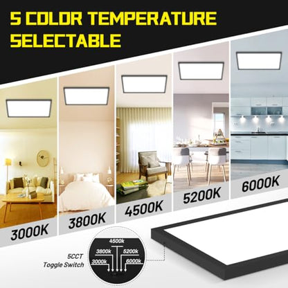 1x2 LED Flat Panel Light Surface Mount 2-Pack, Flush Mount Ceiling Light 24W 2880LM, 5CCT 3000K/3800K/4500K/5200K/6000K, Dimmable Panel Lights Black - color: Black, size: 1Ft. x 2Ft. (2-PACK)