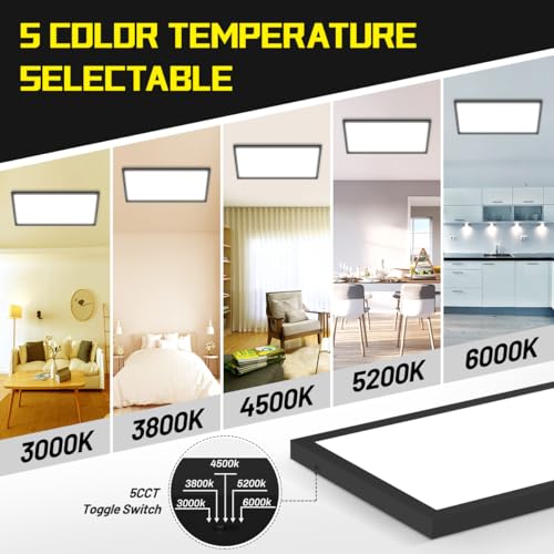 1x2 LED Flat Panel Light Surface Mount 2-Pack, Flush Mount Ceiling Light 24W 2880LM, 5CCT 3000K/3800K/4500K/5200K/6000K, Dimmable Panel Lights Black - color: Black, size: 1Ft. x 2Ft. (2-PACK)