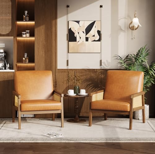 Garvee PU Leather Accent Chair, Rattan Armchair with Wooden Frame, High Back, Upholstered Reading Chair Leisure Chairs for Living Room Bedroom Waiting Room Reception, Brown - color: Pu Leather, Brown
