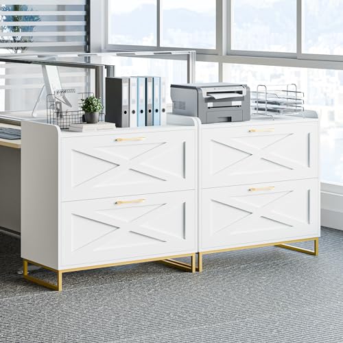 Vabches 2 Drawer Lateral File Cabinet with Charging Station, White and Gold - color: White