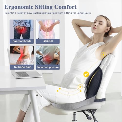 Seat Cushion with Lumbar Support Pillow, Back and Seat Cushion for Office - color: Light Gray & Dark Gray
