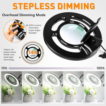 2200 Lumens Magnifying Lamp with Light, 10X Real Glass Lens - color: Black