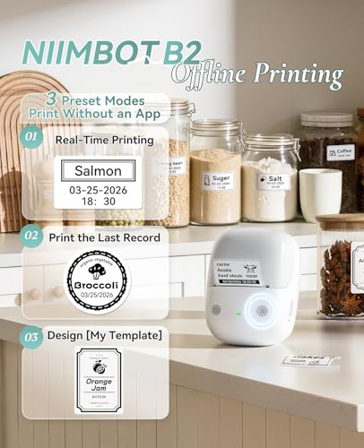 NIIMBOT B2 Label Maker Machine with Tape for Home Office, Gray White | Portable Bluetooth 2 Inch Label Printer with Multiple Templates, Thermal Labeler for Kitchen Coffee Shop Bakery Organization - color: Gray White