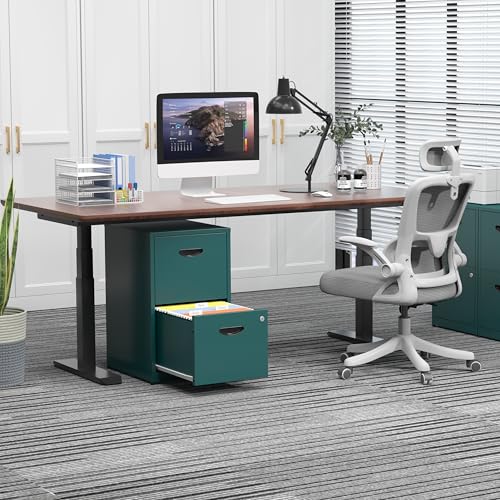 2 Drawer File Cabinet with Lock, Metal Filing Cabinet for Office | Small File Cabinets for Home Office, Under Desk Vertical File Cabinet Fit Hanging Files, Letter & A4 Documents - color: Green, style: 2 Drawers-Light Duty