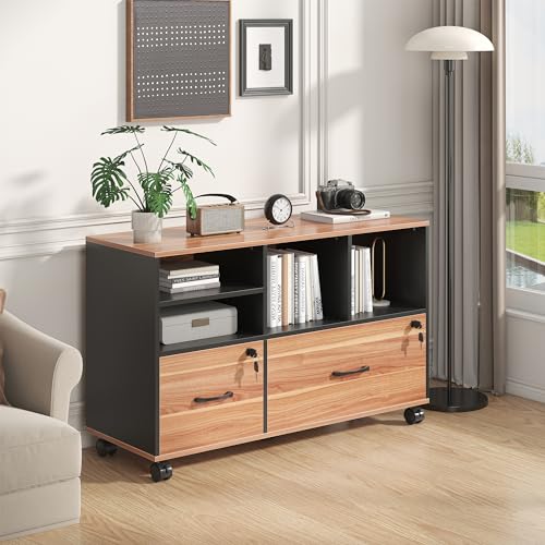 2 Drawer File Cabinet for Home Office, Lockable Rolling Filing Cabinet with Adjustable Shelves, Wood Lateral File Cabinet with Lock, Printer Stand Office Storage Cabinet, Rustic Brown & Black - color: Walnut and Black-2 Drawers