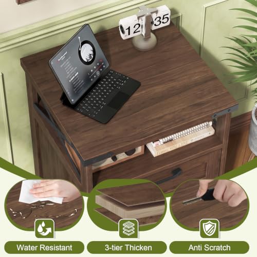 Halitaa Office Filing Vertical Cabinet with 2 Drawers, Walnut | Farmhouse Filing Cabinet with Open Storage Space and Printer Stand for Hanging Files Letter/A4 for Home Office - color: Walnut, style: Vertical