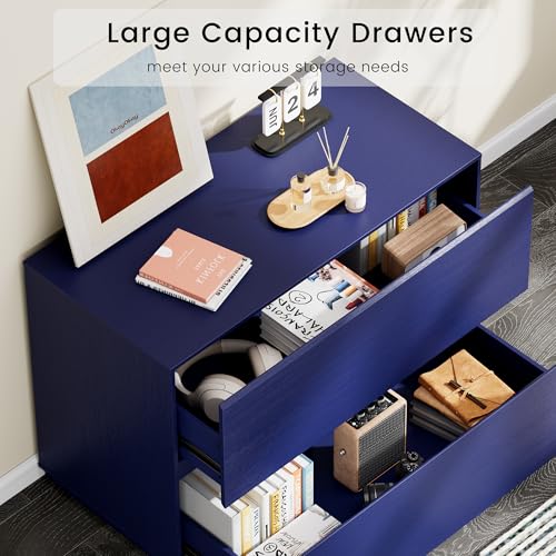 ModernMate 31.5" Lateral Wood Filing Cabinet with 2 Large Drawers, Blue - color: Blue