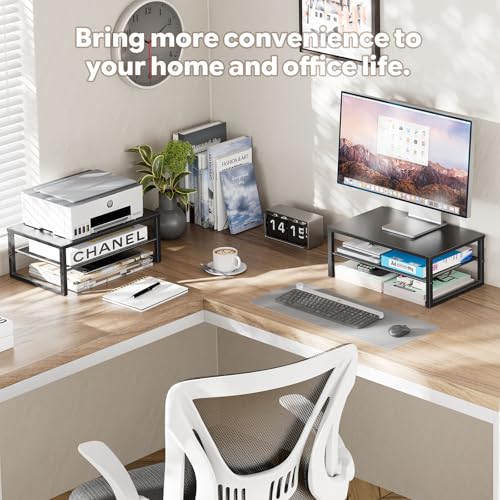 Ekisemio 2-Tier Computer Monitor Stand Riser, Desk Organizer for Monitor, Black