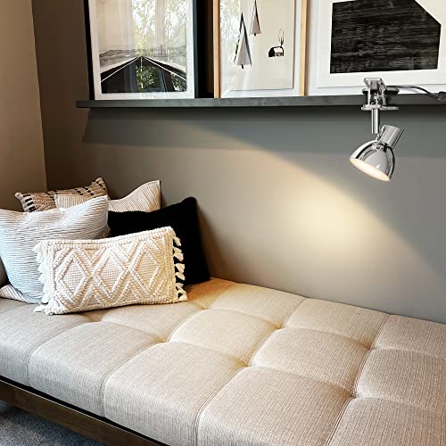 LED Clip on Light 2 Color Set | 1Silver & 1Whtie