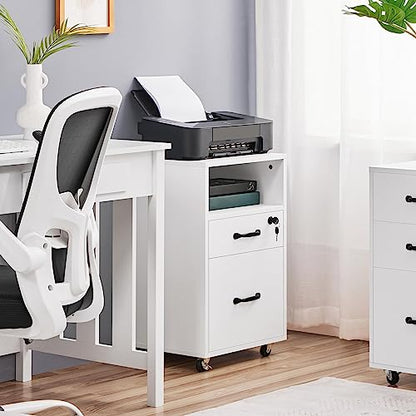 Topeakmart 2-Drawer File Cabinet with Lockable Wheels, White