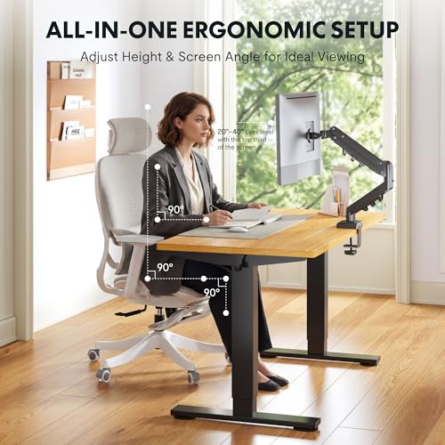 FLEXISPOT EN2 48"x24" Standing Desk Bundle with Monitor Mount, Maple - color: Black Frame + Maple Top, size: 48x24 | Monitor Arm