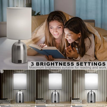 Bedside Table Lamp for Bedroom, 3 Way Dimmable Touch Desk Lamp | USB Charging Port Table Lamps for Living Room, Bedroom, Reading Room, Office, Grey/Sliver