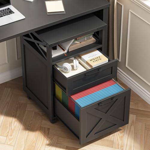 Halitaa Office Filing Vertical Cabinet with 2 Drawers, Black | Farmhouse Filing Cabinet with Open Storage Space, Wheels and Printer Stand for Hanging Files Letter/A4 for Home Office - color: Black, style: Vertical