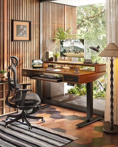 TIQLAB Standing Desk with Two Drawers, Stand Up Standing Desk Adjustable Height, Electric Sit Stand Table with Storage Shelf and Splice Board, with LED Light, 55 * 28 inch, Black Walnut - color: Black Walnut, size: 55*28 inch with keyboard tray