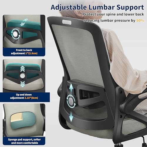 Ergonomic Office Chair Desk Chair with Adjustable Lumbar Support - color: Dark Gray