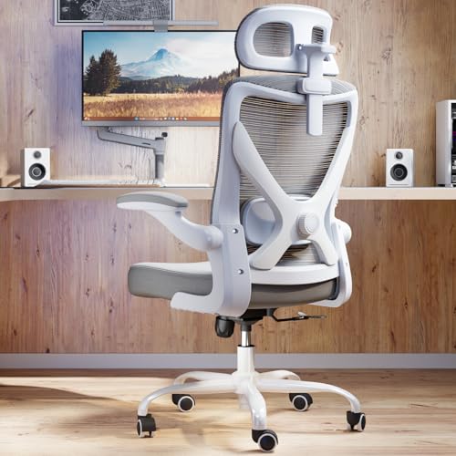 Ergonomic Office Chair: Mesh Desk Chair Comfy with Headrest& Lumbar Support | Ergalithic Big and Tall Office Chairs with Wheels & Flip-Up Arms-Computer Gaming Chairs for Adults Home Office Chairs(Grey) - color: Grey, size: Pack of 1