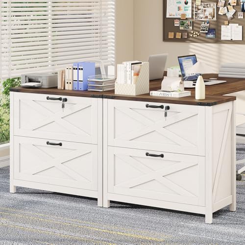 Halitaa Farmhouse Lateral File Cabinet with 2 Drawers, White and Brown - color: Rustic White and Brown, size: 2 Drawers