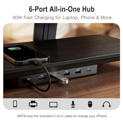 Dual Monitor Stand Riser for Large Office Desk Organization, Black