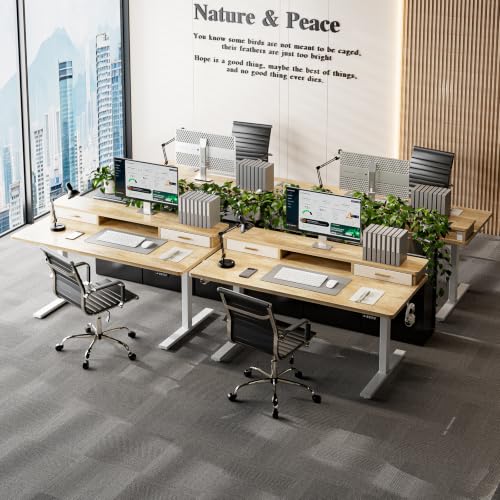 Grandder Electric Standing Desk with Two Drawers, Sit to Stand Up Height Adjustable Desk with Storage Shelf for Home Office, 63 * 24 Inch, Study, Ergonomic Adjustable Computer Desk, Oak - color: Oak, size: 63 Inch