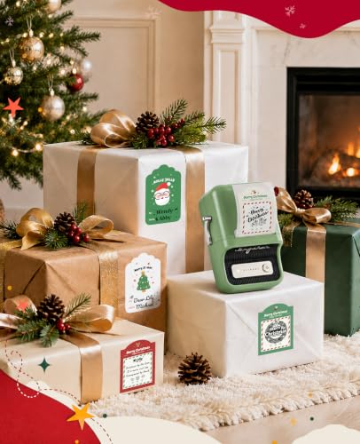 NIIMBOT B21 Label Maker Thermal Label Printer, Good Idea for Home Organization Office Business, 50x30mm Label-230Pcs - color: Green