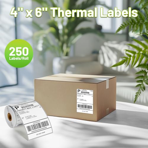 D450BT Bluetooth Shipping Label Printer and 250Pcs Roll Thermal Labels, Wireless Thermal Label Printer for Small Business