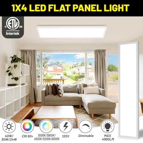 1x4 Led Flat Panel Light Surface Mount 2-Pack, 40W/4980LM, 5CCT 3000K/3800K/4500K/5200K/6000K Selectable, Flush Mount Ceiling Light for Kitchen, Garage, Hallway, Office, ETL - color: White, size: 1ft. X 4ft. (2-pack)