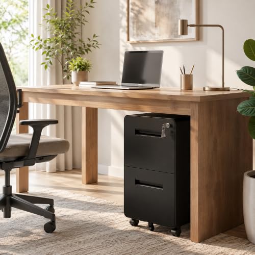 SAWJEC 2 Drawer File Cabinet with Lock, Fully Assembled Mobile Cabinet - color: 04b-black