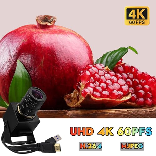 SVPRO 4K 60fps USB Camera with 2.8-12mm Manual Zoom Lens, HDMI/USB3.0 Dual Output, H.264/MJPEG, 4X Optical Zoom Webcam for PC, Mac, Raspberry Pi, Live Streaming, Video Conferencing, TV Monitor - color: 4K 60fps Camera with 2.8-12mm Lens