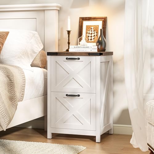 Halitaa Farmhouse File Cabinet with 2 Drawers for Home Office, Rustic White | Vertical Filing Cabinet Fits Letter and A4 Size, Farmhouse Printer Stand, Under Desk Wooden File Cabinet - color: Rustic White