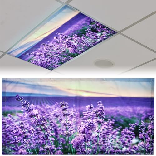 Patelai 4x2 Feet Light Covers for Classroom, Magnetic,Lavender | Sky Cloud Print for Office Decor, Drop Ceiling Compatible, 10 Magnets Included, Filters Harsh Fluorescent Lighting - style: Lavender