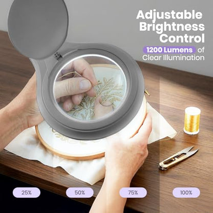 Neatfi LED Bifocal Magnifying Lamp 1,200 Lumens – 5” Glass Lens, Dual Magnification 2.25X/6X, Dimmable | Adjustable Arm with Clamp | Crafting, Jewelry & Reading (5 Diopter + 20 Diopter, Silver) - color: Silver, size: 5 Diopter + 20 Diopter