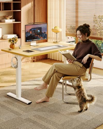 FLEXISPOT EN1 48"x30" One-Piece Standing Desk, Maple | 1" Thick Seamless Desktop, 176 LBS Capacity, Home Office Use, 4 Memory Presets, Dual Monitor Setup, Anti-Collision Protection - color: Maple (White Frame), size: 47.6 x 29.5 in