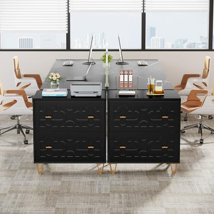 Tribesigns 2-Drawer Lateral File Cabinet, Black and Gold | Modern, Legal/Letter/A4 Size, Large Storage, Printer Stand, Home Office - color: Black & Gold