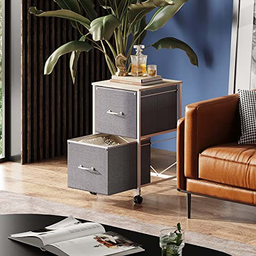 DEVAISE 2 Drawer Mobile File Cabinet, Fabric Vertical Filing Cabinet - color: Light Grey