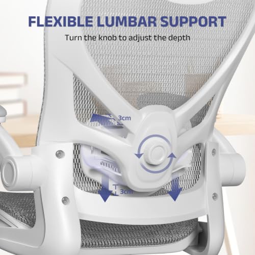 naspaluro Mesh Office Chair Breathable Desk Chair Flip-up Armrests - color: Grey