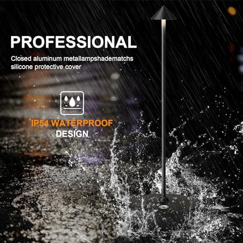 Rechargeable Cordless Table Lamp, Portable Powered LED Battery 6000mAh Metal USB Desk Lamp, 3 Levels Brightness Light for Restaurants Outdoor (Black) - color: Black
