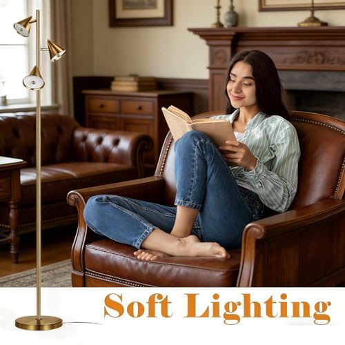 Floor Lamp with 3 Rotatable LED Lights，Magnetic Remote，and 5 Color Temperatures - color: Bronze