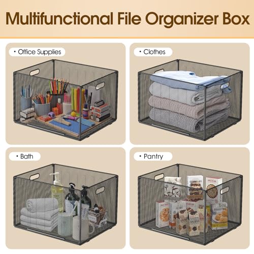 MaxGear Hanging File Organizer Box,Letter Size File Folder Organizer,2 Pack - style: Full Mesh-2 Pack