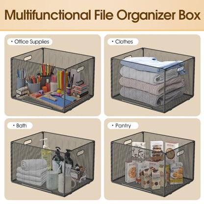 MaxGear Hanging File Organizer Box,Letter Size File Folder Organizer,2 Pack - style: Full Mesh-2 Pack