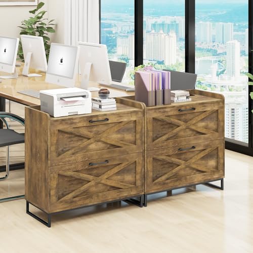 Halitaa File Cabinet 2 Drawers Lateral File Cabinet with Charging Station for Letter/Legal/A4 Size Hanging Files, Large Wood File Storage Cabinets Printer Stand for Home Office, Brown | Filing Cabinet for Letter/Legal/A4 Size Hanging Files, Large Wood Fil