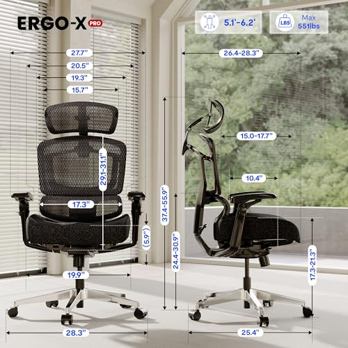 FLEXISPOT ErgoX-PRO Ergonomic Office Chair Black – Cloudtech Cushion, 5D Lumbar, 7D Armrests, 4D Headrest, 551LBS Capacity – Office, Gaming, Home - color: Cloudtech Black, size: Overall Depth 29"