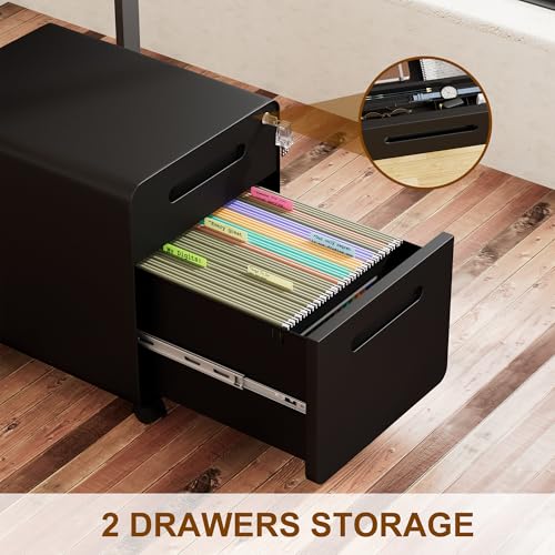 2 Drawer Mobile Low Profile File Cabinet with Lock and 4 Keys | Metal Filing Cabinet for Home Office, Under Desk, Pre-Assembly, File Drawer, Letter/Legal/A4 Hanging File Folders - color: Black, size: 19.1"H*15.7"W-2 Drawers