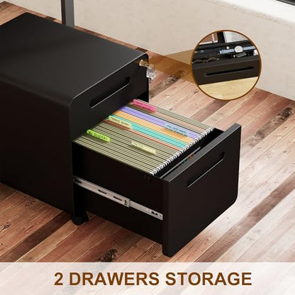 2 Drawer Mobile Low Profile File Cabinet with Lock and 4 Keys | Metal Filing Cabinet for Home Office, Under Desk, Pre-Assembly, File Drawer, Letter/Legal/A4 Hanging File Folders - color: Black, size: 19.1"H*15.7"W-2 Drawers