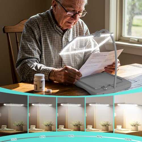 Magnifying Glass with Light and Stand 50 Ultra-Bright LEDs Grey | Large Magnifying Lamp with Light Magnifying Glass on Stand Hand-Free with 360° Flexible Gooseneck for Close Work Reading - color: Gray